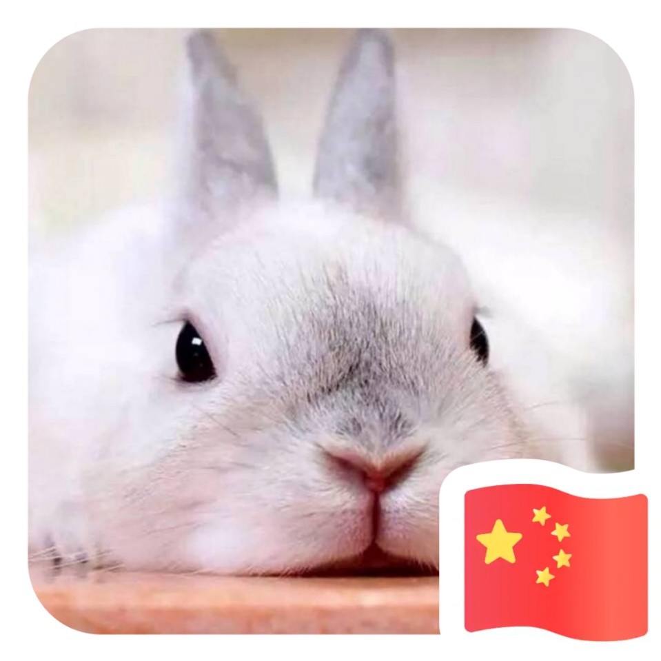 用戶頭像