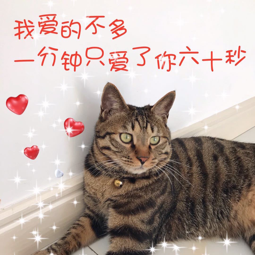 用戶頭像