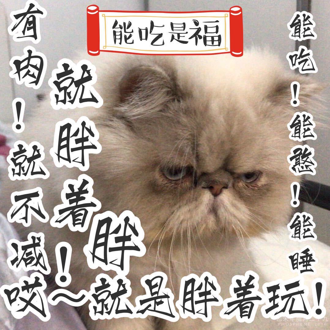 陈陈陈陈陈文霄霄