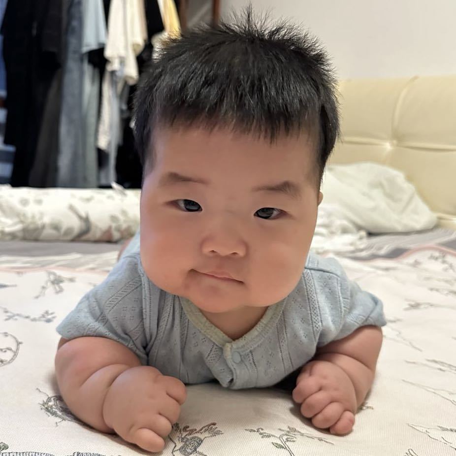 飞