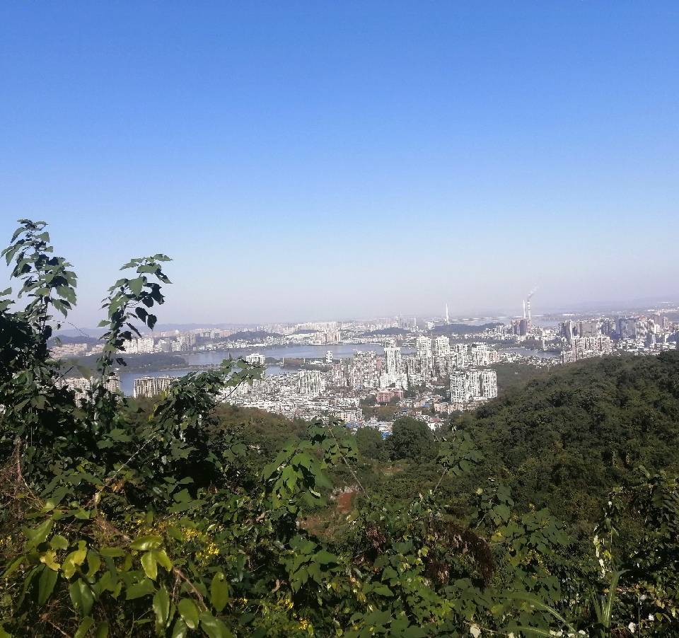 用戶頭像