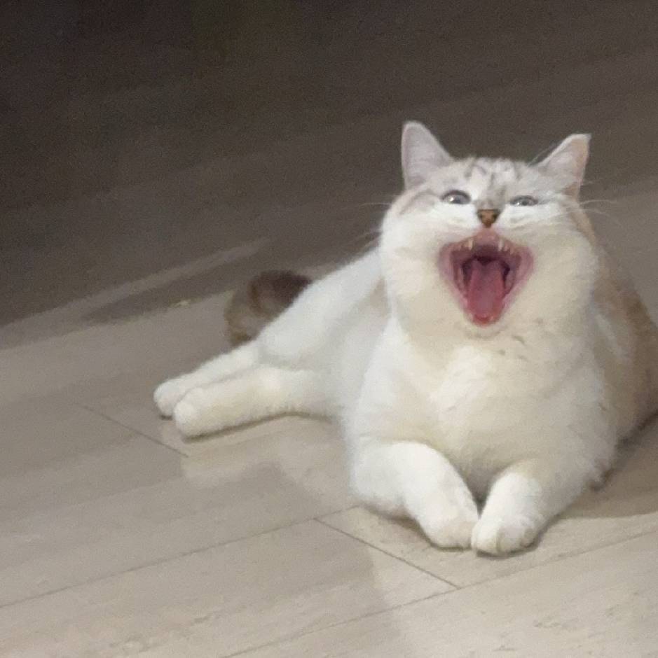 王璐宇