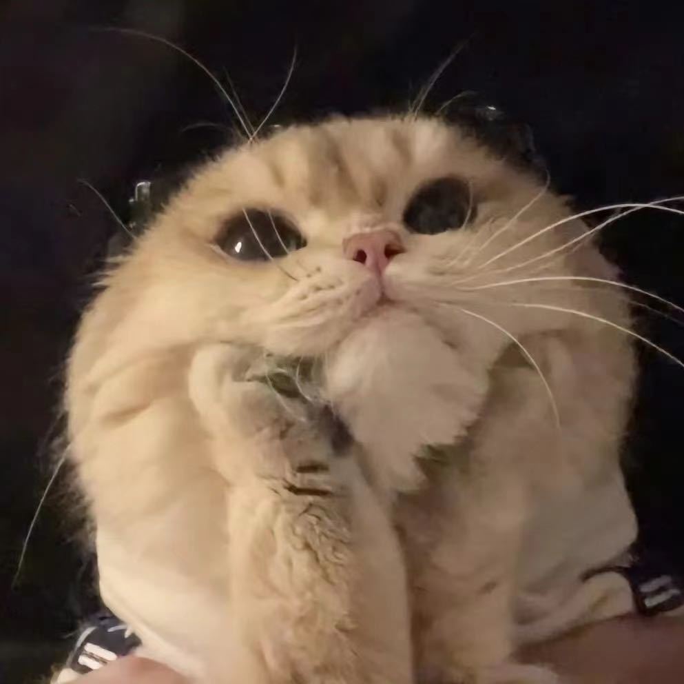 周周周