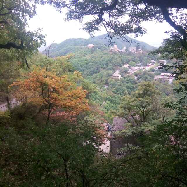 暖暖的春风