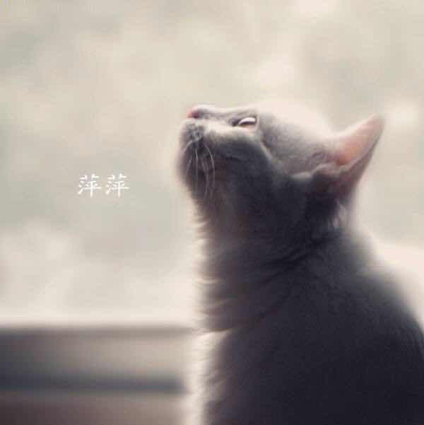 阴阳师