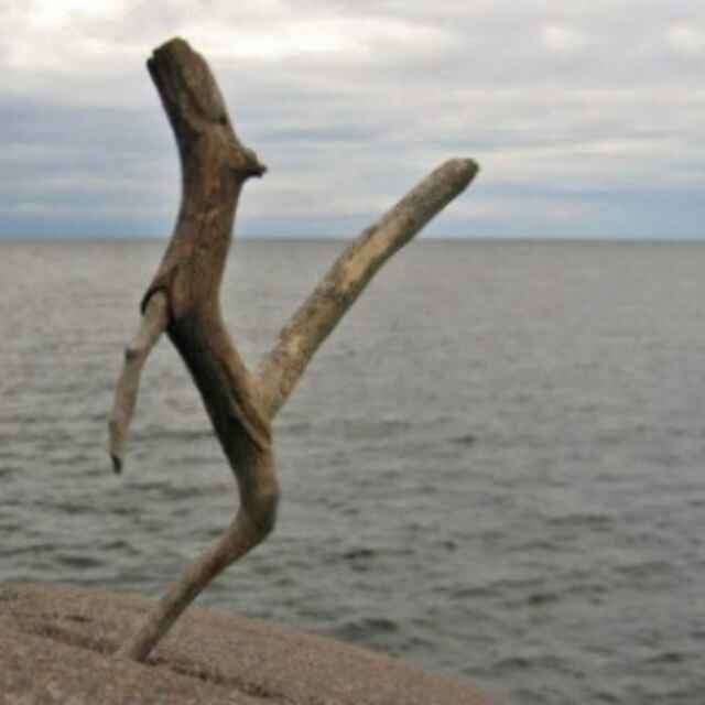 畲满畬硕