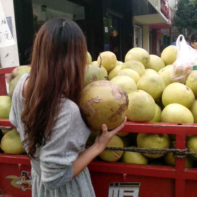 楼中人