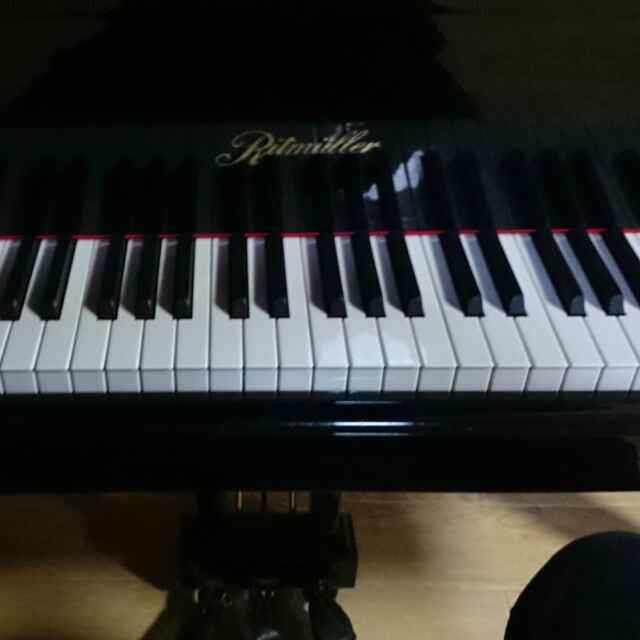 新兰的乐章的钢琴谱