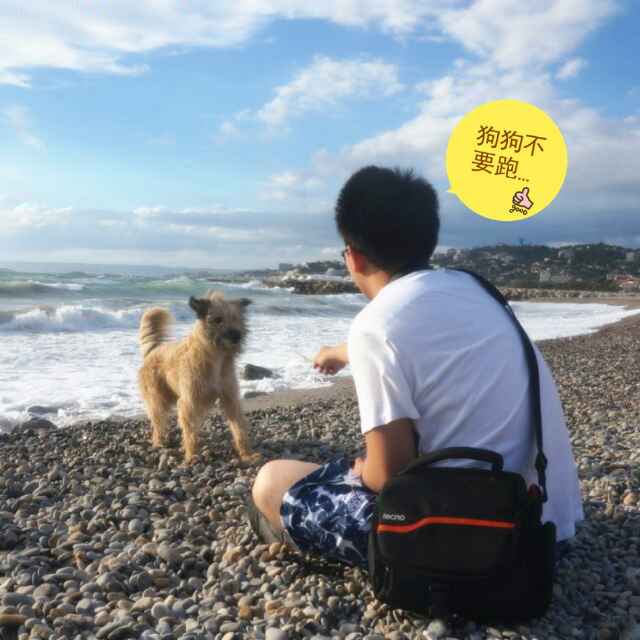 落叶带走秋风头像