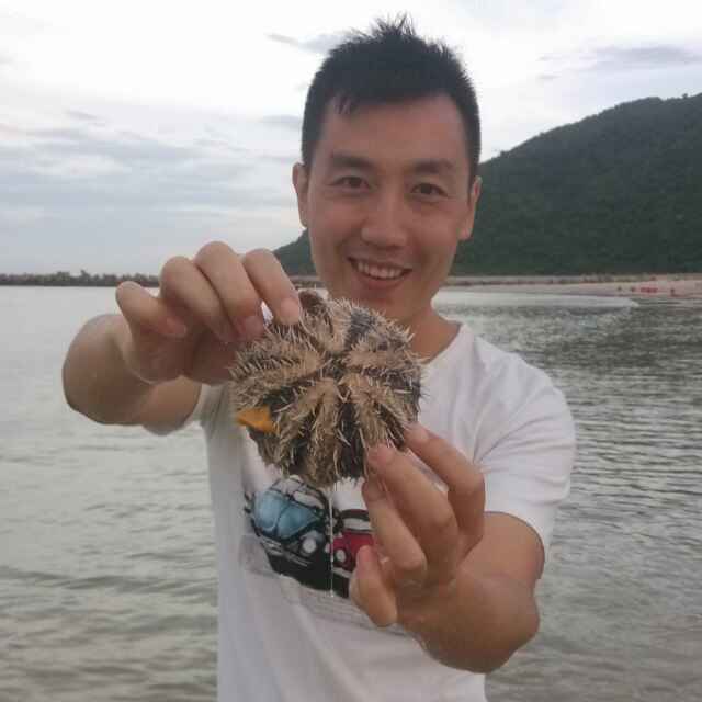 海豚