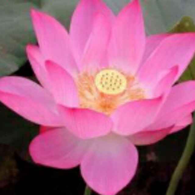 晴朗