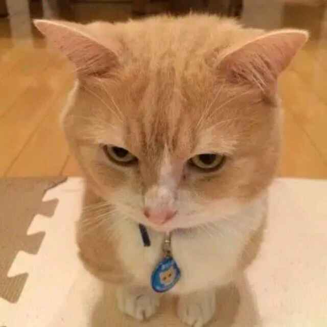 周学