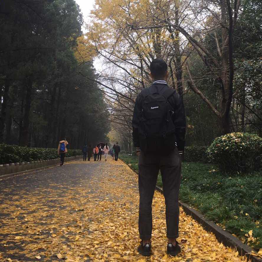   🐎头像