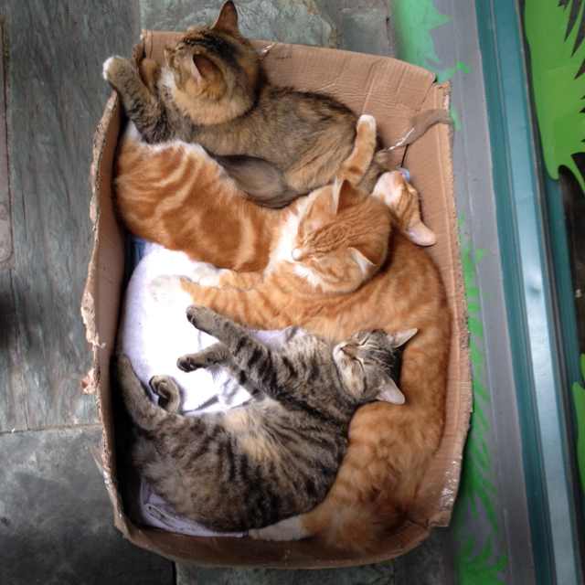 万达