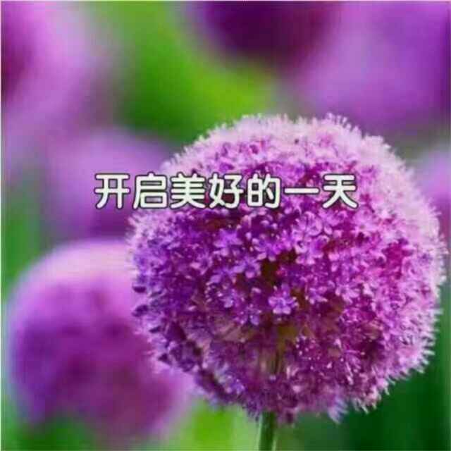 英