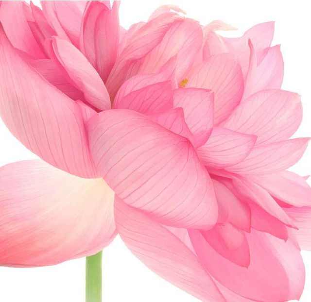 185****0602的钢琴谱