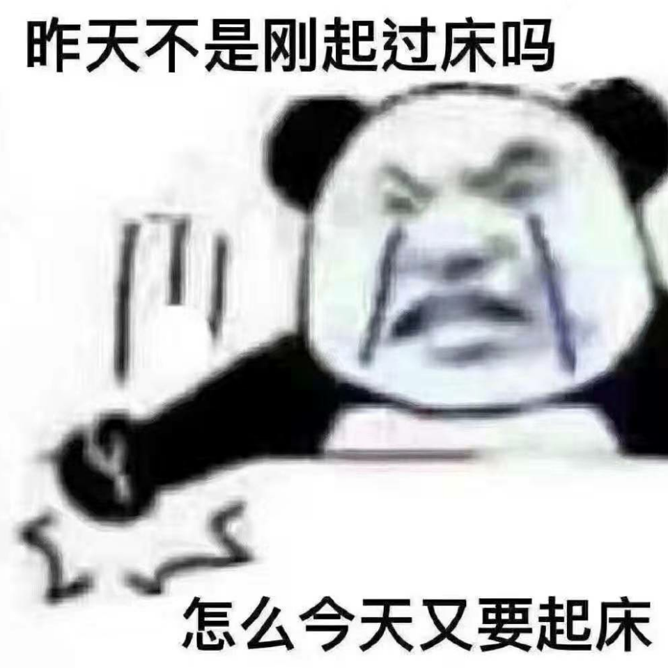 平凡的开发者