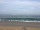 黄先生