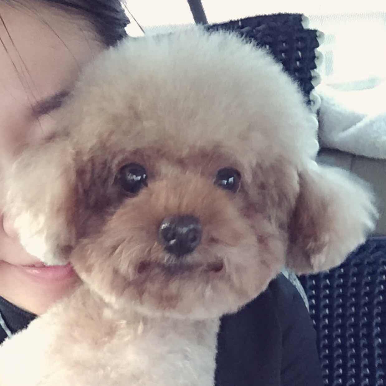 Karen🐬王奕霏（米娅）