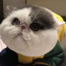 章大为