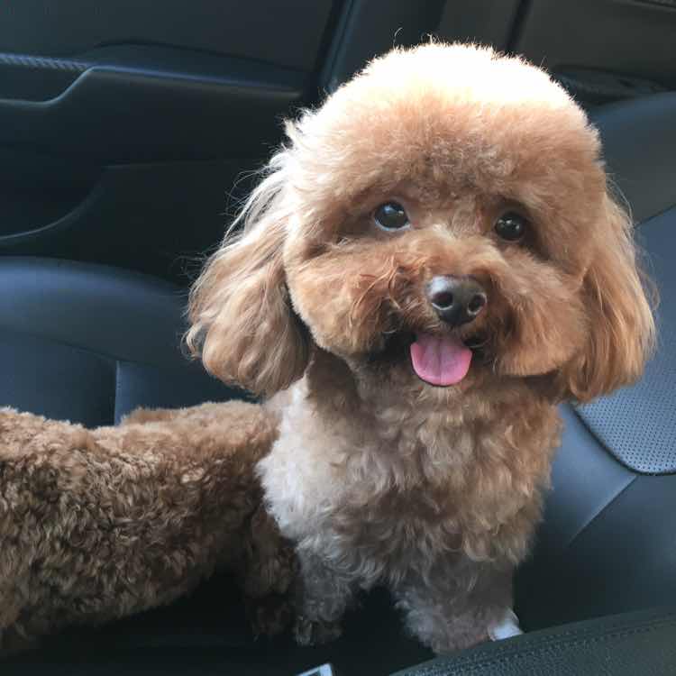 Ling♪～(´ε｀　)