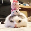 分歧设计◎张坤