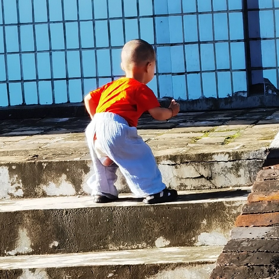 那个她他它