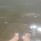 郑州金水区招小工一到两个，能干