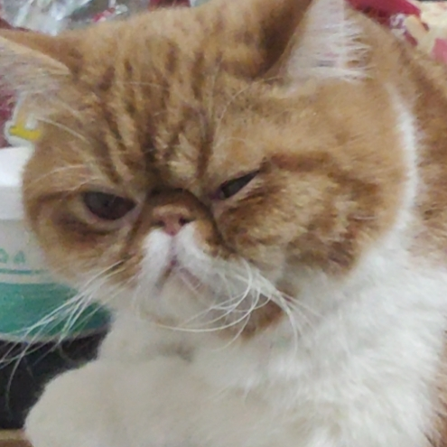 给你个眼神自己体会