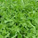 黑龙江哈尔滨香坊区小区物业招聘：水电维修工2名，早8晚5，月休4天。工资2800元＋绩效提成，加班另算。工作