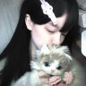 小猫似爱永存