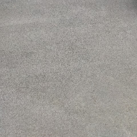 白龙马蹄包子