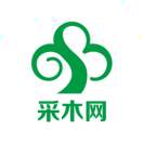 小木助手-椰子树