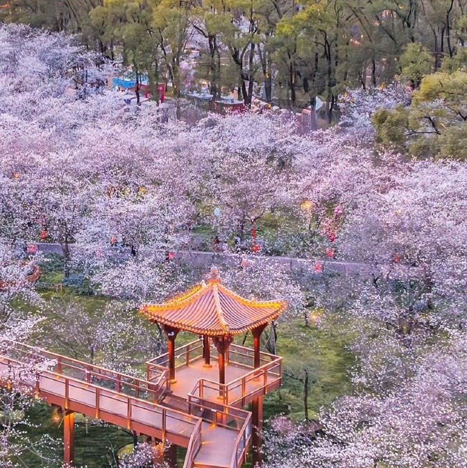 稳如泰山