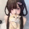 宅漫呆萌小猫