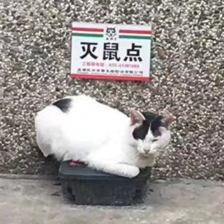 我的天