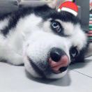 点***滴
