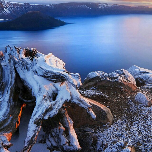 AAA品香阁崖柏根雕