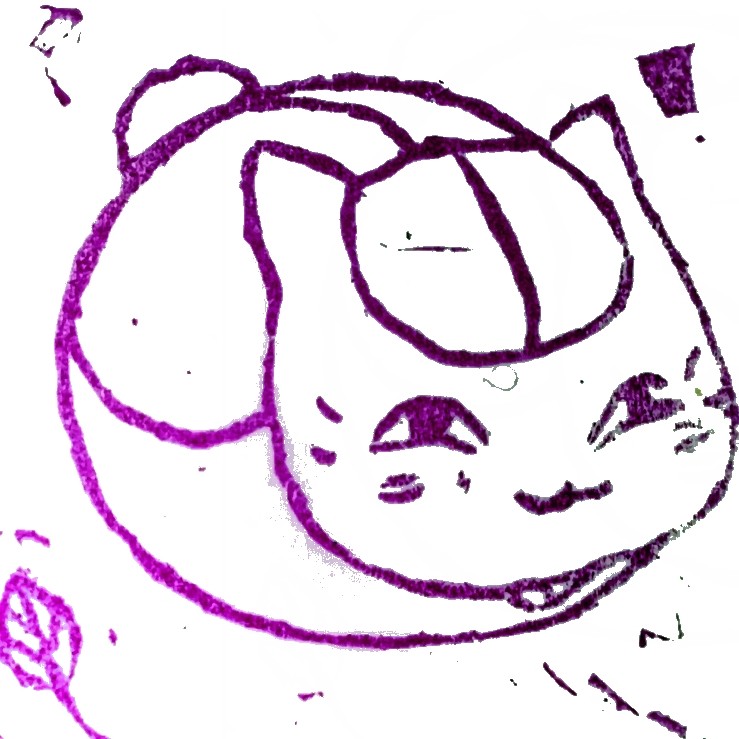 野猫行天下