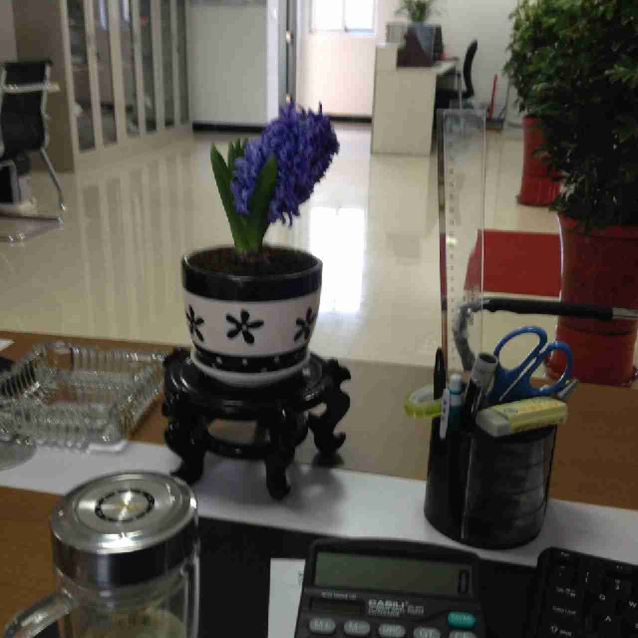 🏃🏃快乐奔跑🏃🏃