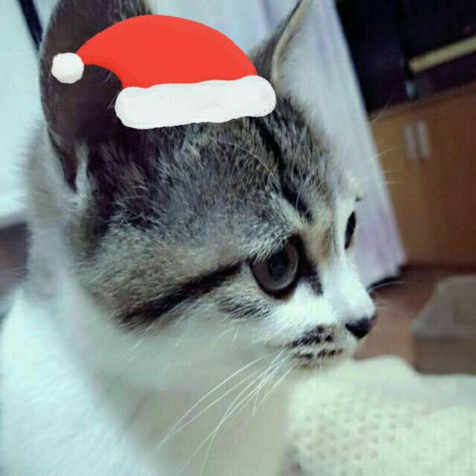 马培云