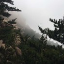 阳光下漫步528