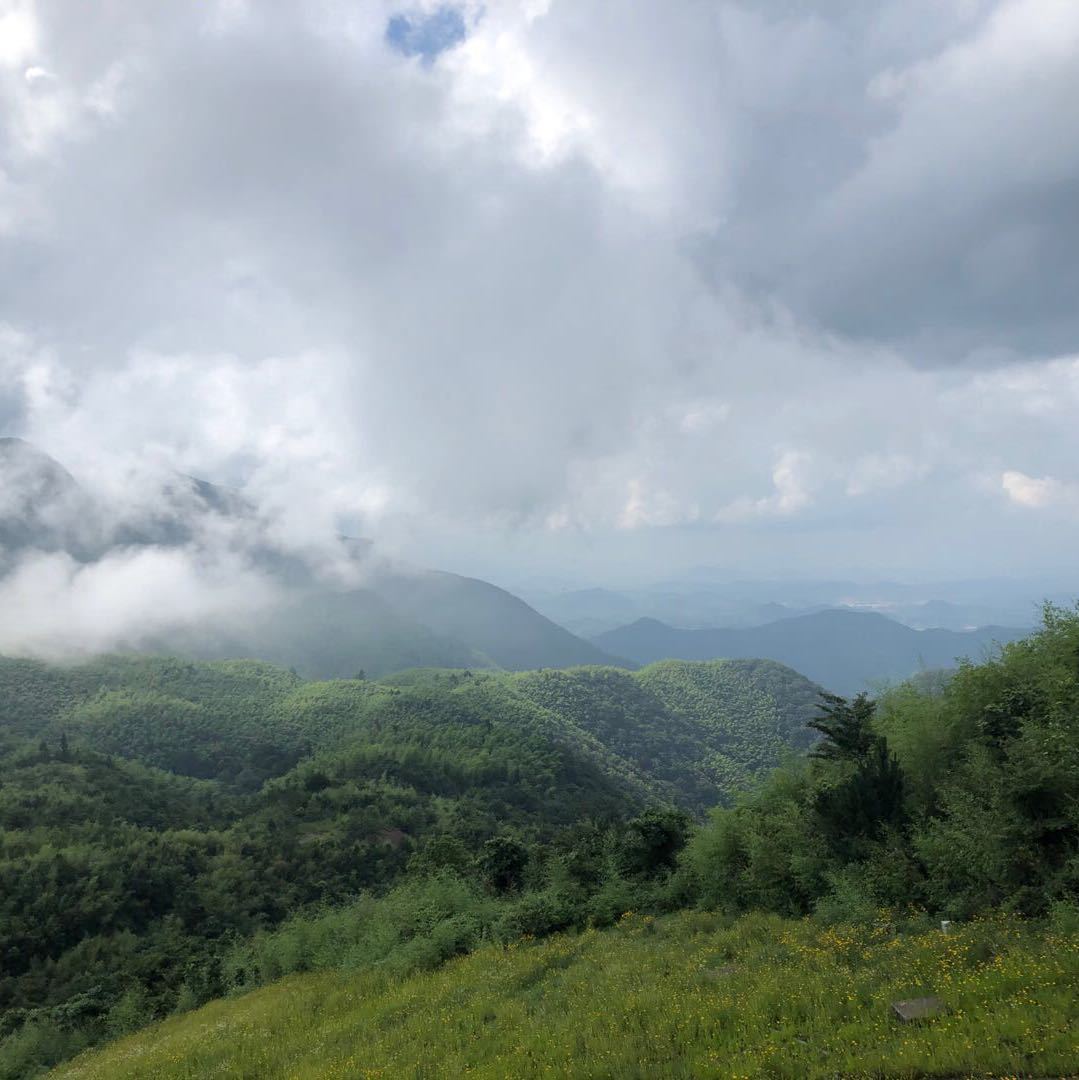 砸砸