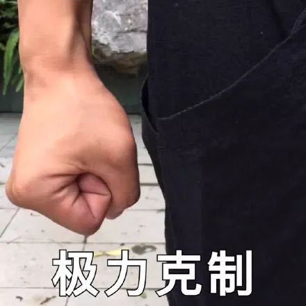 山寨机