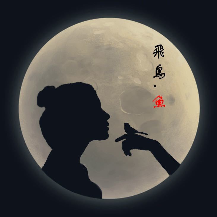 飞鸟与鱼
