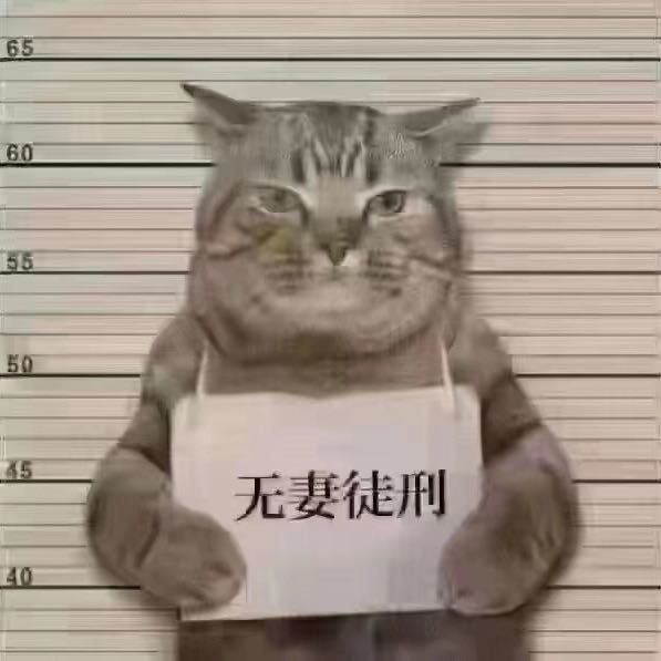 有妻徒刑