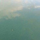 河池都安瑶族自治县都安招指挥/司索工