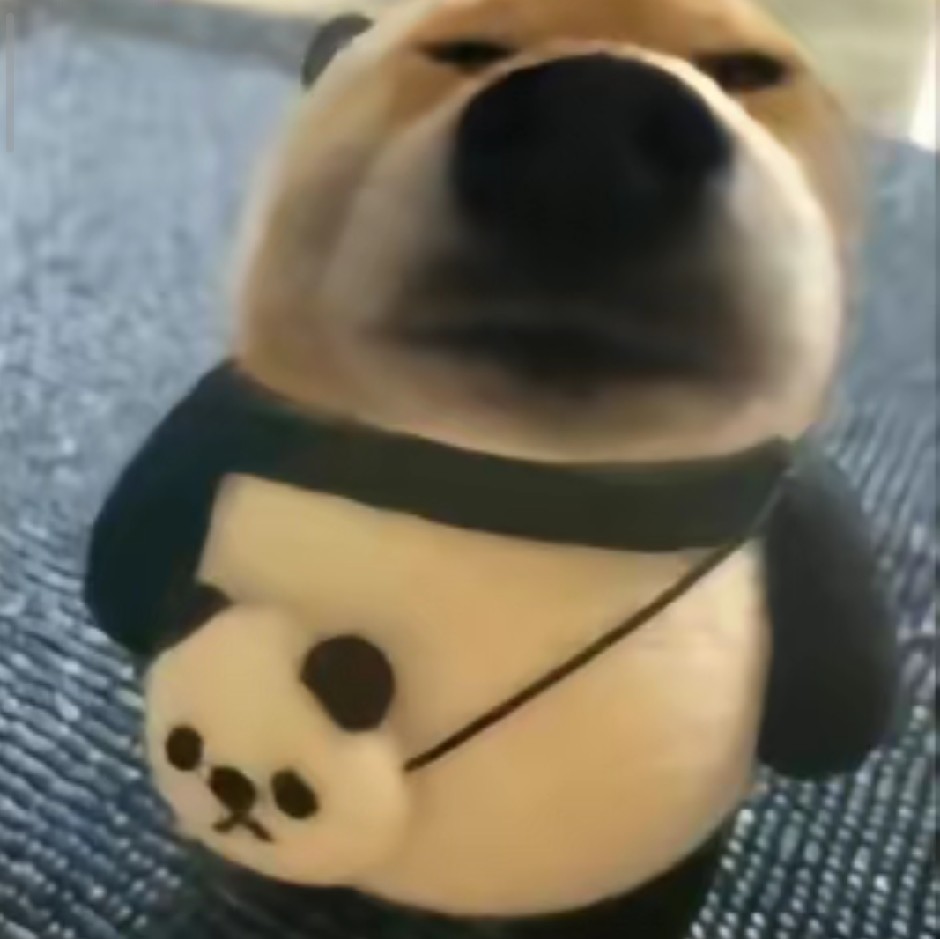 无敌暴龙战士