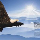 赤峰***晓辉）