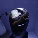赵成